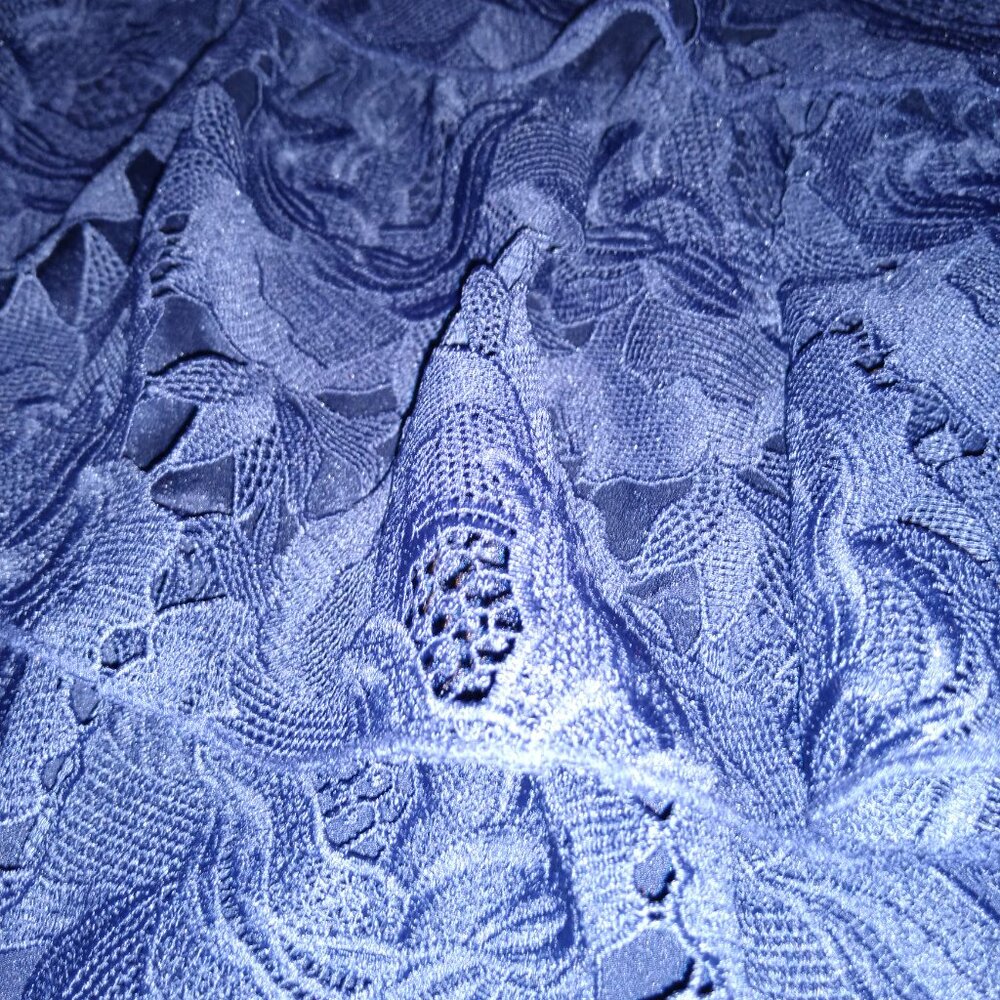 NWT! Layered with love Dress! ONLY $49! RETAIL $158! Chic Blue Floral Lace Sz 1X - Picture 2 of 7
